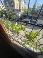FB_IMG_1776507197361.webp
