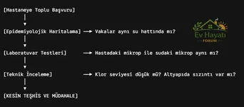 1780416035981.webp