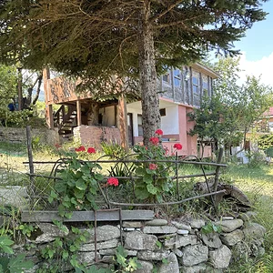 Beton-Ahşap evin bahçesi