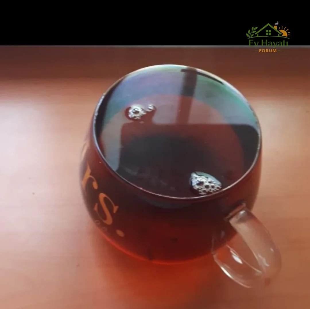 Screenshot_20260411-093928_WhatsApp.webp